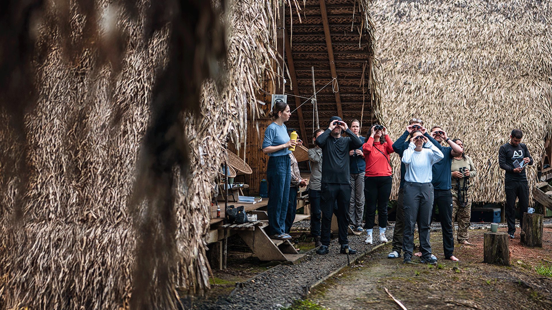 Guest using binoculars to observe wildlife in the Amazon at Wao Kamp