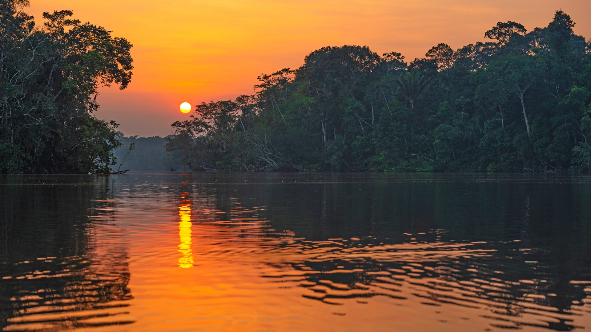 Amazon River in the Ecuadorian Amazon