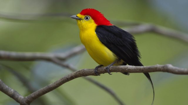 WaoKamp Wildlife